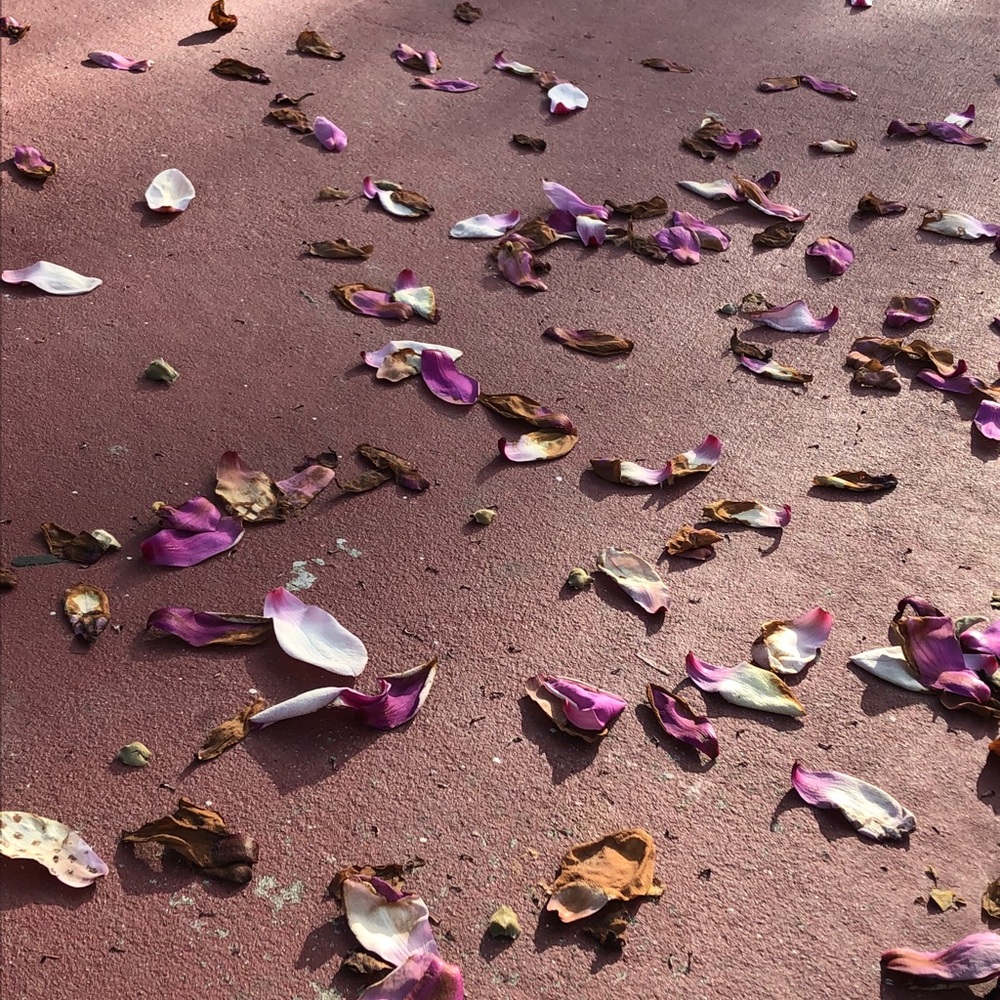 Meet your Posher, Kaitlyn